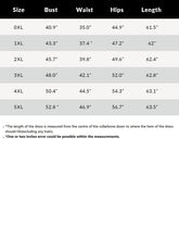 Load image into Gallery viewer, Bulk Order Plus Size Short Sleeve Ruffle A-Line Floor Length V-Neck Evening Dresses