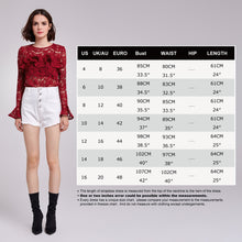 Load image into Gallery viewer, Alisapan Sheer Lace Long Sleeve Top AS01137