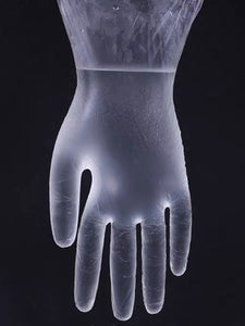 Color=transparent | Cheap Anti-Bacterial Powder Free Pvc Transparent Protective Gloves-Transparent 2